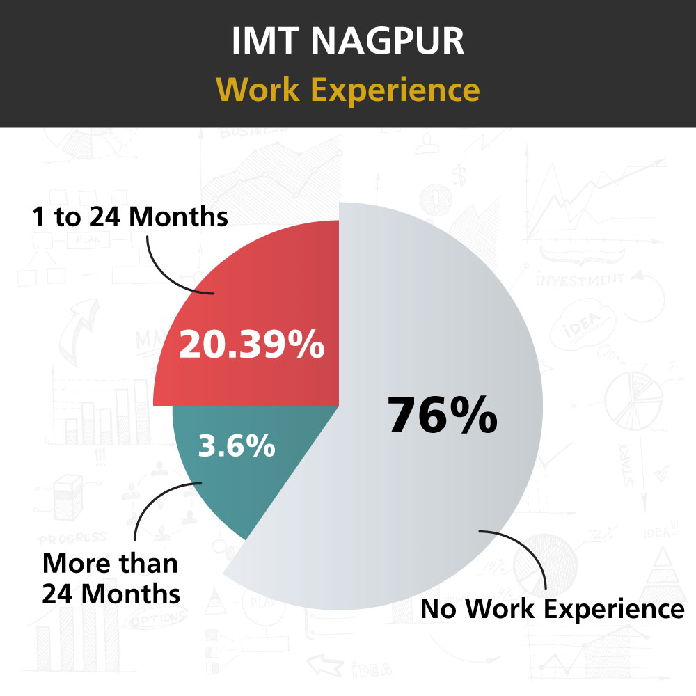 IMT Nagpur Class Profile 2023 - work experience
